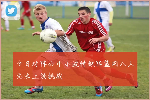 今日对阵公牛小波特缺阵篮网八人无法上场挑战